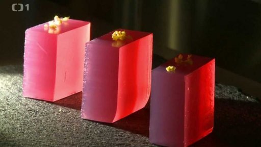 Molekulární gastronomie