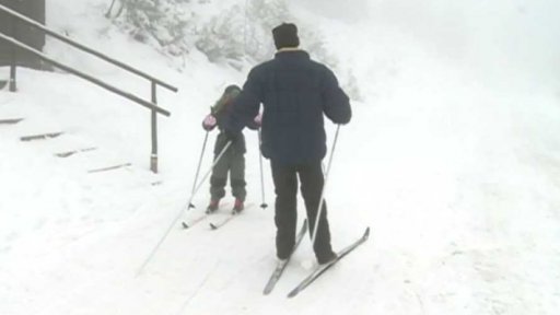 Fenomén běžkování