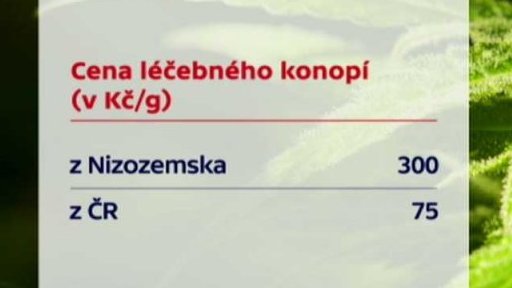 Léčebné konopí hrazené pojišťovnou?