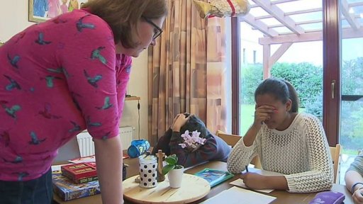 Domácí výuka školáků