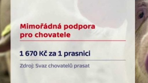 Produkce českého masa loni klesla
