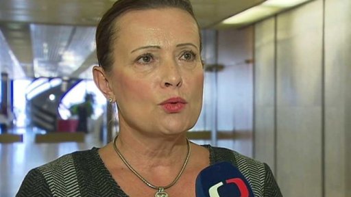 Spory o nové ceny elektřiny