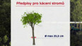 Prořezávání stromů