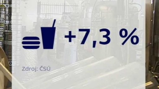 Kondice české ekonomiky