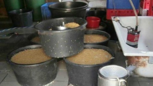 Uzavření výrobny tofu