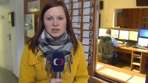 Statisícové škody po vandalech