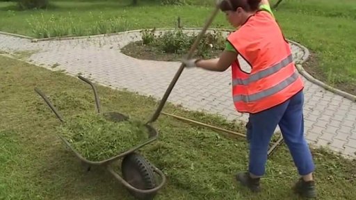 Veřejně prospěšné práce