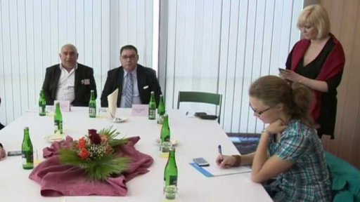 Přehled o hospodaření politických stran