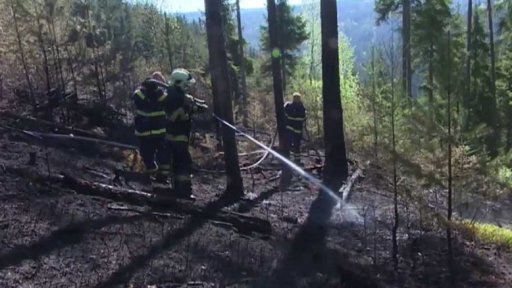 Dohašování požáru lesa