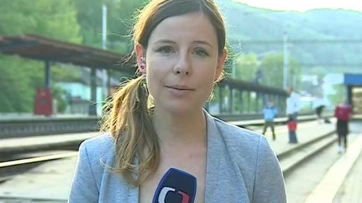 Vlakové výluky v Česku