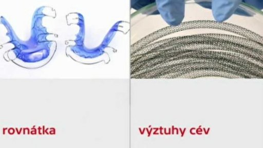 Ceny pro mladé vědce