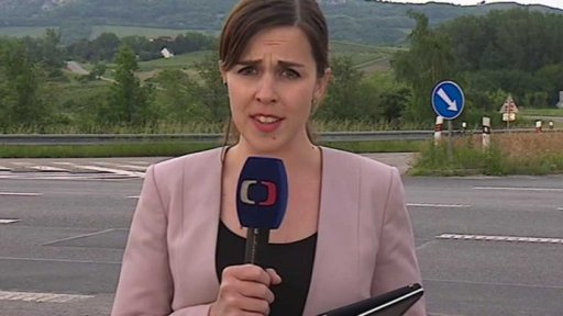 Referendum o dálnici D52