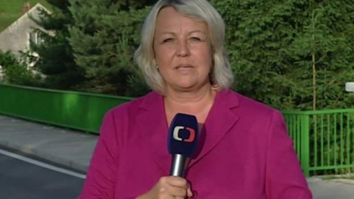 Vyšetřování pádu mostu ve Vilémově