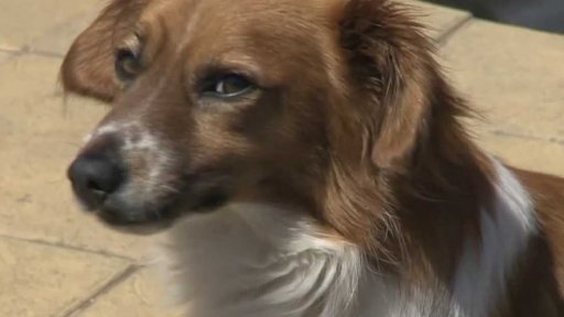 Varování před vysokými teplotami