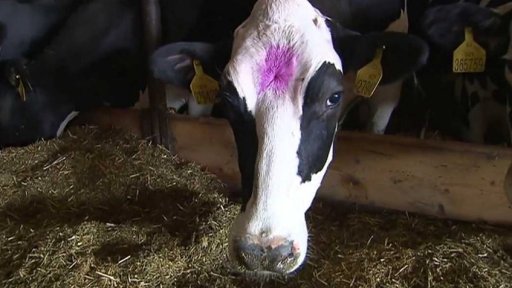 Spor o peníze pro zemědělce