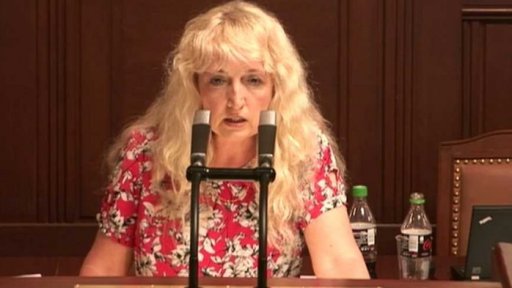 Kritika za výroky poslankyně Nytrové