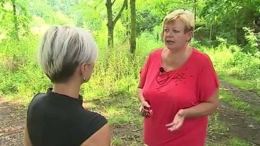 Likvidace černých skládek