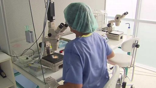 Plodnost českých mužů