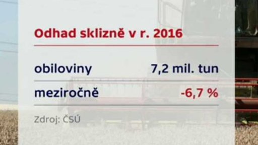 Sklizeň obilovin a řepky