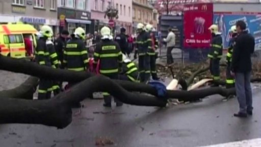 Kácení stromů ve městech