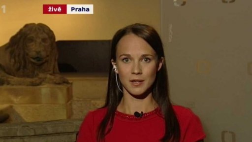 Sněmovní vyšetřování změn v policii