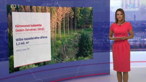 Lesům ČR klesl hrubý zisk