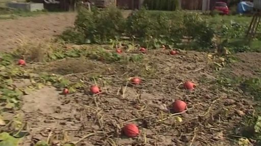 Problémy kvůli suchu