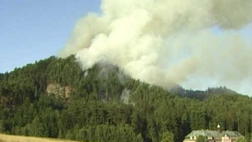 Obnova prohořelých lesů