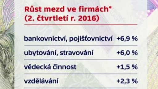 Vyšší platy v soukromých firmách