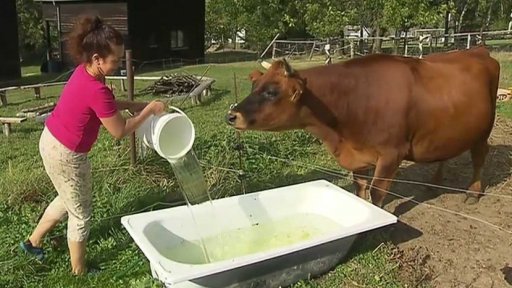 Tržní cena orné půdy