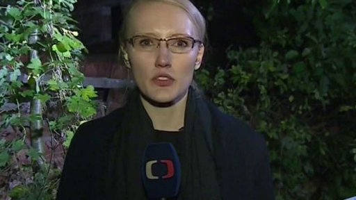 Pád stropu ve vybydleném domě