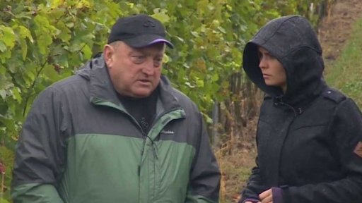 Zavlažováním proti suchu