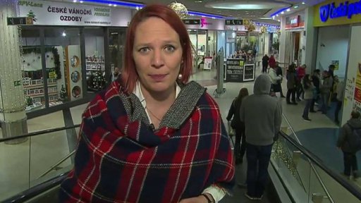 Senátoři o zavírání obchodů o svátcích