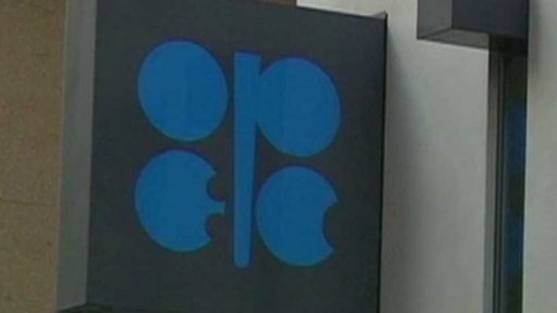 OPEC snižuje těžbu ropy