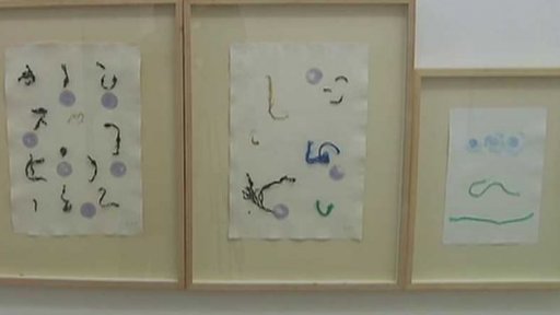 Jin-jin a jiné Zorky Síglové