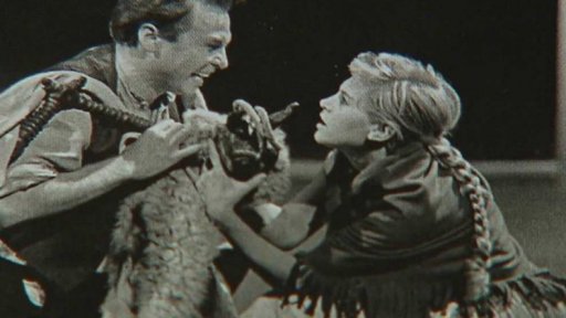 Ocenění za rozvoj a podporu kultury