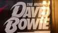 Koncertní pocta Davidu Bowiemu