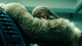 Nové album Beyoncé