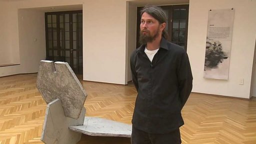 Polčarovo dílo v Topičově salonu