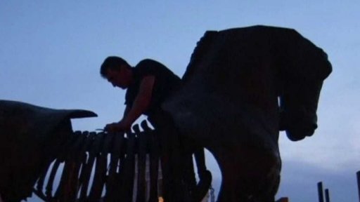 Koně jako symbol migrace