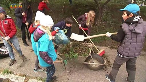Téma týdne - Dobrovolná pomoc