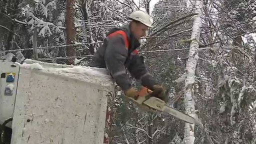 Události týdne den po dni