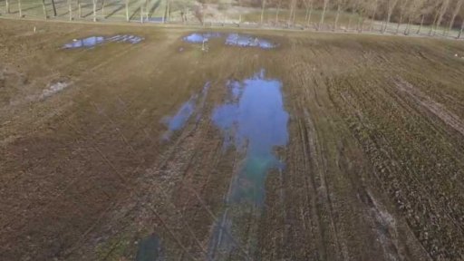 Půda v Česku ve špatném stavu