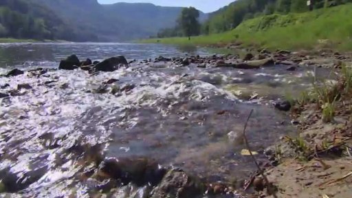 Události týdne den po dni