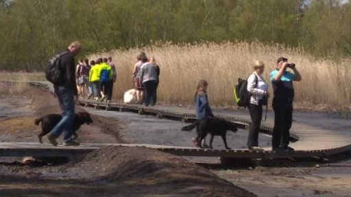 Na návštěvě: Soos