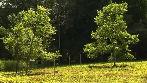 Výběr akcí pro příští týden