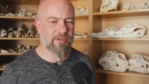 Sběratel lebek ryb a paryb