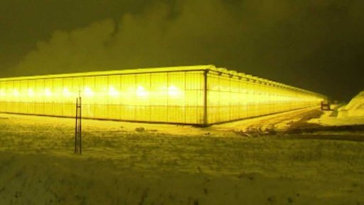 Události týdne den po dni