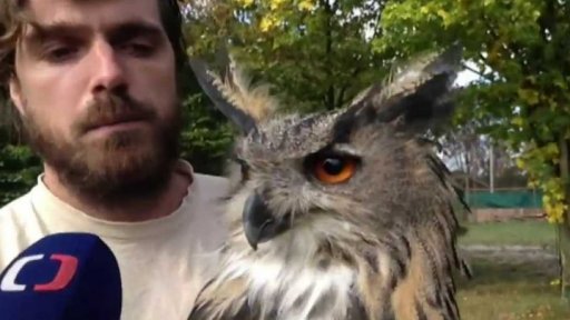 Záchranná stanice v Jaroměři