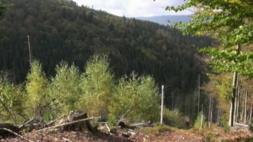 Speciální šumavská výletní trasa